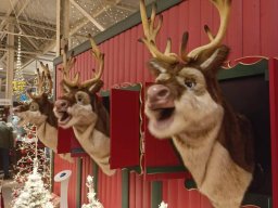 569500985128572113002249914486544411586937n